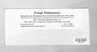 Puccinia graminis image